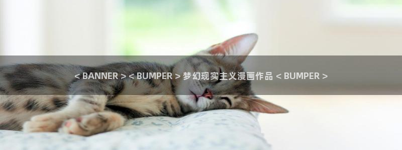 成人51漫画在线观看免费：< BANNER > < BUMPER > 梦幻现实主义漫画作品 < BUMPER >