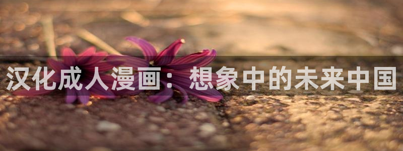 51漫画网站在线播放：汉化成人漫画：想象中的未来中国