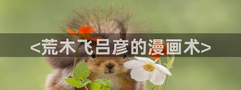 歪51漫画画：<荒木飞吕彦的漫画术>