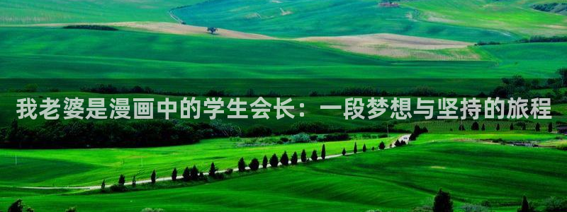 51漫画网免费漫画入口：我老婆是漫画中的学生会长：一段梦想与坚持的旅程