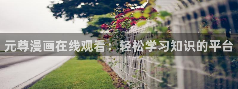 51漫画画在线免费看漫画大全：元尊漫画在线观看：轻松学习知识的平台