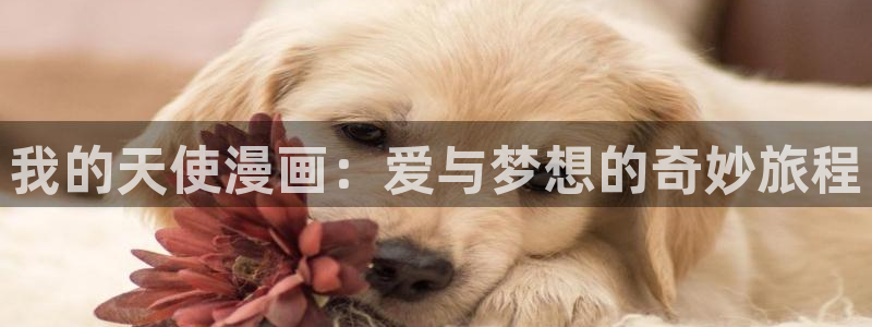 歪歪51漫画免费无删减：我的天使漫画：爱与梦想的奇妙旅程