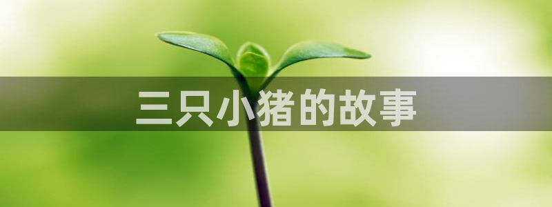 物种起源51漫画在线观看：三只小猪的故事