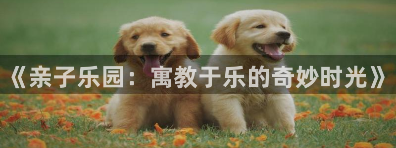 专门看51漫画画的软件