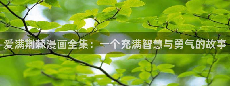 51漫画免费看完整版