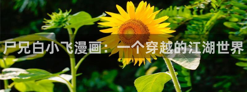 有什么网站可以免费看51漫画