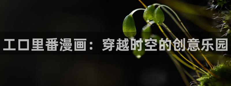 漫画免费51漫画大全