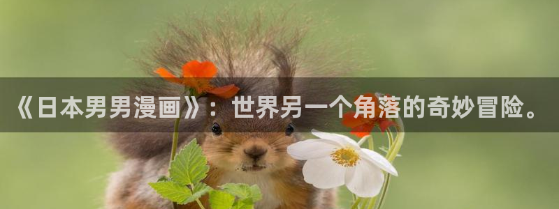 51漫画是什么类型的漫画