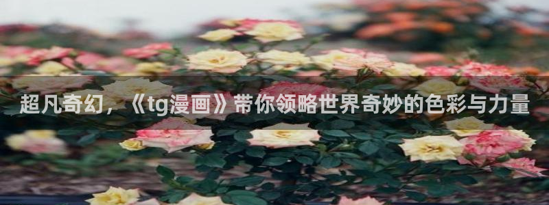 51漫画日漫画免费：超凡奇幻，《tg漫画》带你领略世界奇妙的色彩与力量