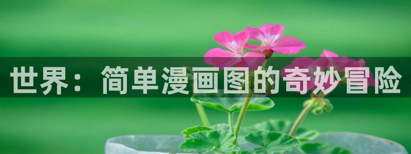 51漫画官网链接：世界：简单漫画图的奇妙冒险